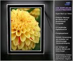 LED Leuchtkasten Licht Acryl Glas Leuchtschild Fotodruck Leuchtbild